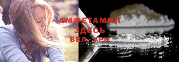 хмурый Абаза