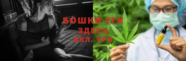 хмурый Абаза