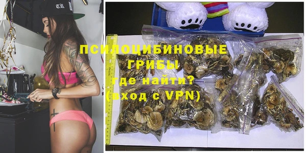 шишки Абдулино