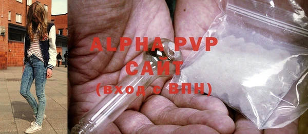 хмурый Абаза