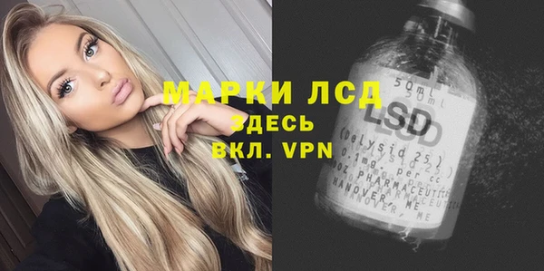 хмурый Абаза