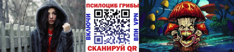 shop наркотические препараты  где найти наркотики  Рассказово  Псилоцибиновые грибы MAGIC MUSHROOMS 