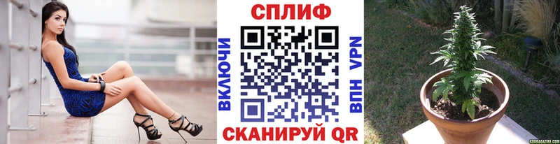 Бошки марихуана Bruce Banner  где купить   гидра ТОР  Рассказово 